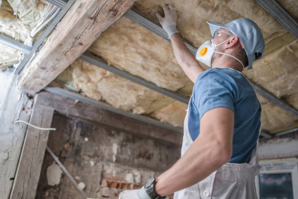 Best Insulation Installation Cost  in Fkville, AL